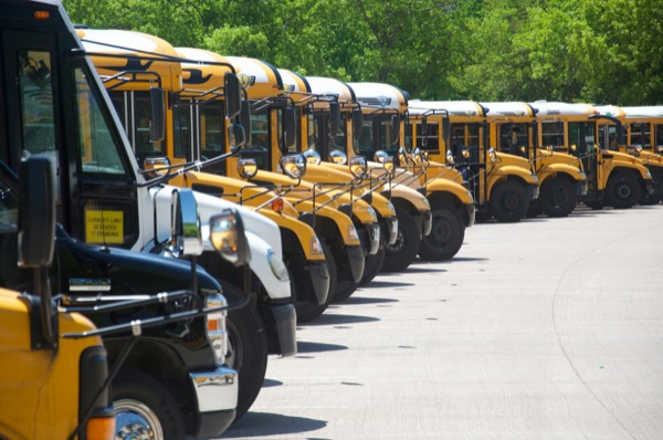 School buses